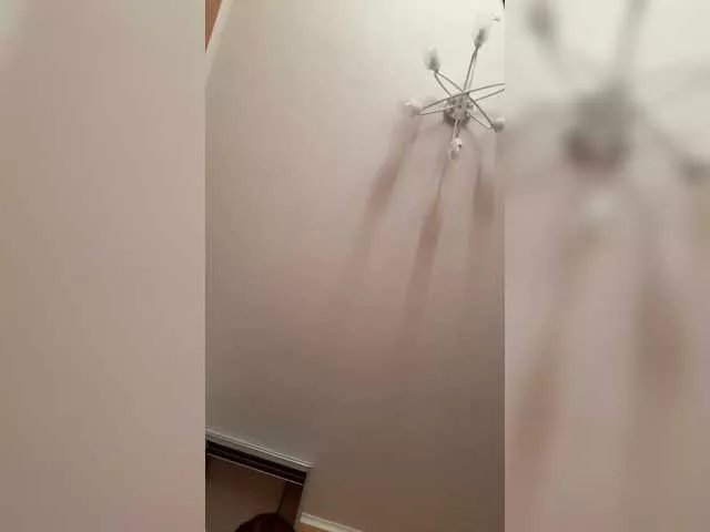 elegantbabe on BongaCams