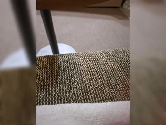 murr-kitty on BongaCams