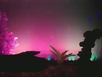 mr_meat_stick on Chaturbate